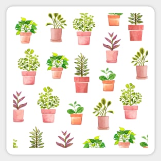 Indoor Plant Collection II Sticker